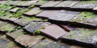 West Ilsley roof repair costs